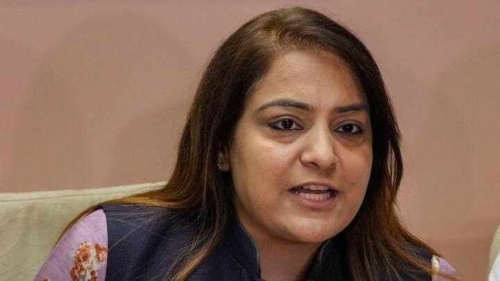 MCD Mayor Election 2024: एमसीडी मेयर और डिप्टी मेयर का चुनाव टलने के बाद इस पर सियासत जारी है. मेयर शैली ओबेरॉय ने इसे लेकर एलजी और बीजेपी पर हमला बोला है.(फाइल)