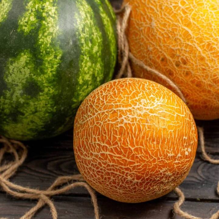 Watermelon vs muskmelon : ਤਰਬੂਜ ਅਤੇ ਖਰਬੂਜਾ ਦੋਵੇਂ ਅਜਿਹੇ ਫਲ ਹਨ ਜੋ ਗਰਮੀਆਂ ਵਿੱਚ ਬਹੁਤ ਪਸੰਦ ਕੀਤੇ ਜਾਂਦੇ ਹਨ। ਦੋਵਾਂ ਦੇ ਆਪਣੇ ਸਵਾਦ ਲਈ ਆਪਣੇ-ਆਪਣੇ ਹਨ, ਪਰ ਕਿਹੜਾ ਸਿਹਤ ਲਈ ਬਿਹਤਰ ਹੈ, ਆਓ ਜਾਣਦੇ ਹਾਂ ਇਸ ਬਾਰੇ।