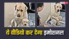 कुत्ते का ये वीडियो कर देगा आपको इमोशनल, लोगों ने कहा ‘मां तो मां होती है’