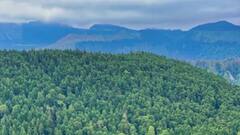 गर्मी में करना है ठंडी जगह ट्रैवल, लेकिन बजट है टाइट, केवल 2000 में बना लें इन जगहों का प्लान