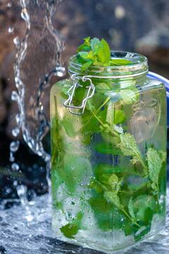 Mint Water Benefits : उन्हाळ्यात रोज प्या पुदिन्याचं पाणी मिळतील हे आश्चर्यकारक आरोग्यला फायदे.