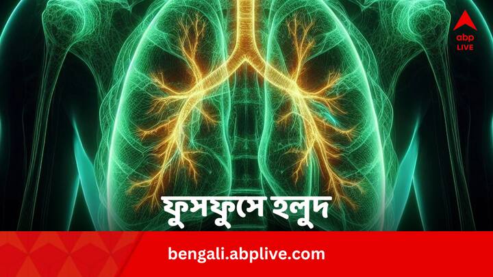 Pune Doctors Remove Turmeric Pieces Stuck Into Elderly Man’s Lungs Bengali News Health News: তীব্র কাশি ও শ্বাসকষ্ট, ফুসফুসে অস্ত্রোপচার করতেই মিলল হলুদের বাসা !