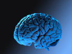 7 Health Benefits Of Eggplant