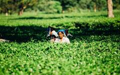 PM Kisan: पीएम किसान योजना की अगली किस्त जल्द होगी जारी,  eKYC नहीं कराई तो अटक जाएगा पैसा