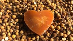 Jaggery and Gram: गुड़-चना है सेहत के लिए वरदान, इम्युनिटी बूस्ट करने में करता है मददगार