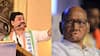 Dhananjay Munde on Sharad Pawar : तुम्ही इतके निगरगट्ट कसे झालात, धनंजय मुंडेंची शरद पवारांवर जहरी टीका