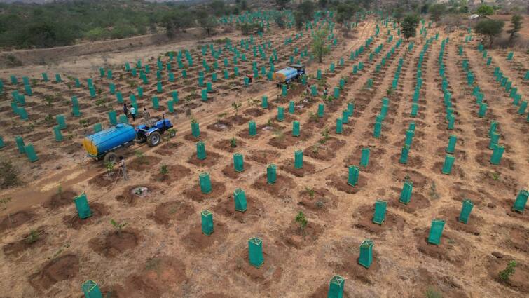 Dharmapuri forest department watered the 90,000 saplings planted to thicken the forest due to the failure of the monsoon rain - TNN தருமபுரியில் பொய்த்து போன பருவமழை; மரக்கன்றுகளை பாதுகாக்க டிராக்டர் மூலம் தண்ணீர் ஊற்றும் வனத்துறை