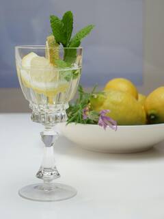 Mint Water Benefits : उन्हाळ्यात रोज प्या पुदिन्याचं पाणी मिळतील हे आश्चर्यकारक आरोग्यला फायदे.