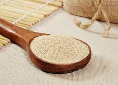 ਖਸਖਸ ਦੇ ਫਾਇਦੇ ਜਾਣ ਕੇ ਰਹਿ ਜਾਓਗੇ ਹੈਰਾਨ, ਹੱਡੀਆਂ ਲਈ ਹੈ ਰਾਮਬਾਣ