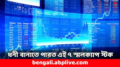 Know these 7 Multibagger Small Cap Stock delivered 1423 percent return in 1 year Multibagger Stock Small Cap Stocks: ১৪২৩ শতাংশ পর্যন্ত রিটার্ন মিলেছে এই ৭ স্টকে, কেনা থাকলে ধনী হতেন ১ বছরেই