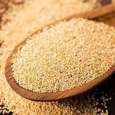 ਖਸਖਸ ਦੇ ਫਾਇਦੇ :  ਅਸੀਂ ਗੱਲ ਕਰ ਰਹੇ ਹਾਂ ਖਸਖਸ ਦੀ। ਖਸਖਸ ਸੁਆਦੀ ਹੋਣ ਦੇ ਨਾਲ-ਨਾਲ ਸਿਹਤ ਲਈ ਵੀ ਬਹੁਤ ਫਾਇਦੇਮੰਦ ਮੰਨਿਆ ਜਾਂਦਾ ਹੈ। ਇਸ ਨੂੰ ਹੱਡੀਆਂ ਲਈ ਰਾਮਬਾਣ ਮੰਨਿਆ ਗਿਆ ਹੈ। ਖਸਖਸ ਦੇ ਬੀਜਾਂ 'ਚ ਕੈਲਸ਼ੀਅਮ ਦੀ ਮਾਤਰਾ ਜ਼ਿਆਦਾ ਹੁੰਦੀ ਹੈ, ਜੋ ਹੱਡੀਆਂ ਨੂੰ ਮਜ਼ਬੂਤ ​​ਬਣਾਉਣ ਅਤੇ ਕਈ ਬੀਮਾਰੀਆਂ ਤੋਂ ਬਚਾਉਣ 'ਚ ਮਦਦ ਕਰਦੀ ਹੈ।