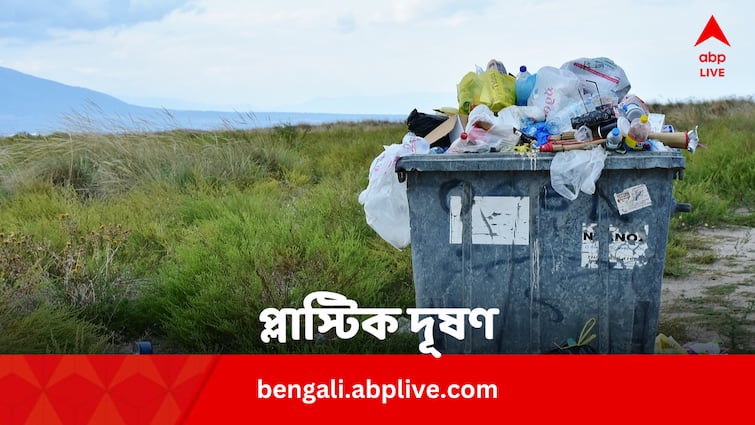 Half of Branded Plastic Pollution Caused By Global Brands Bengali News