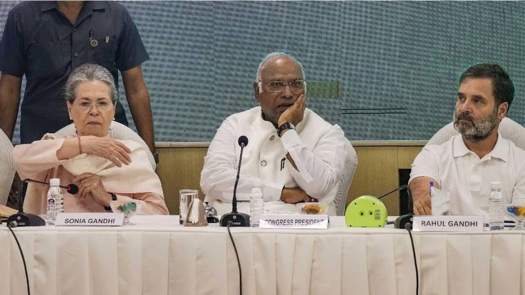 Congress leader Arif Naseem Khan refuse to campaign over ticket denied form North Central Loksabha constituency Naseem Khan: मुंबई काँग्रेसमधील आणखी एक बडा नेता नाराज, स्टार प्रचारकपदाचा राजीनामाच देऊन टाकला