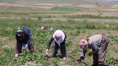 PM Kisan: पीएम किसान योजना की अगली किस्त जल्द होगी जारी,  eKYC नहीं कराई तो अटक जाएगा पैसा