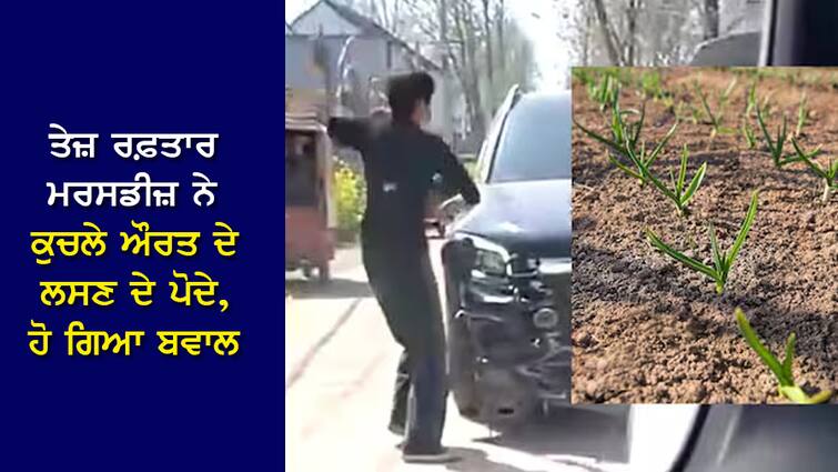 The high-speed Mercedes took revenge after driving the crushed woman's garlic plant far away! ਤੇਜ਼ ਰਫ਼ਤਾਰ ਮਰਸਡੀਜ਼ ਨੇ ਕੁਚਲੇ ਔਰਤ ਦੇ ਲਸਣ ਦੇ ਪੋਦੇ, ਦੂਰ ਤੱਕ ਭਜਾਉਣ ਤੋਂ ਬਾਅਦ ਲਿਆ ਬਦਲਾ !