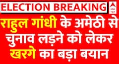 Rahul Gandhi के Amethi और Priyanka के Raebareli से चुनाव लड़ने को लेकर आई बड़ी खबर | Loksabha Polls