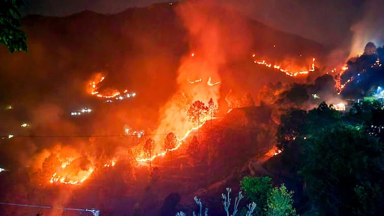 fire in forest of almora two nepali people die and three injured due fire ann FIRE In Almora Forest: अल्मोड़ा के जंगलों में धधक रही आग, वन विभाग के अधिकारी दिखा रहे उदासीन रवैया