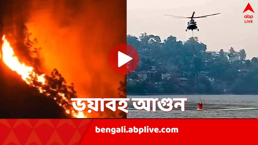 Nanital Forest Fire: পাহাড়ি জঙ্গলে বেকাবু আগুন, ধোঁয়ায় ঢাকল নৈনিতাল, ৩৩ হেক্টর জমি নষ্ট Uttarakhand Forest Fire Reaches Nainital Airforce Army all trying to douse the flames Nanital Forest Fire: পাহাড়ি জঙ্গলে বেকাবু আগুন, ধোঁয়ায় ঢাকল নৈনিতাল, ৩৩ হেক্টর জমি নষ্ট