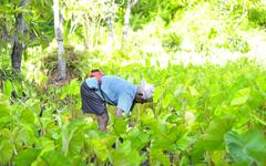 PM Kisan: पीएम किसान योजना की अगली किस्त जल्द होगी जारी,  eKYC नहीं कराई तो अटक जाएगा पैसा