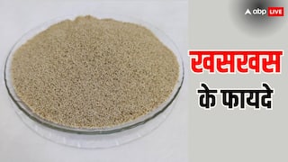Poppy Seed: खसखस के फायदे जान हो जाएंगे हैरान, हड्डियों के लिए ये है रामबाण