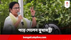 ভোটপ্রচারে গিয়ে ফের বিপত্তি, হেলিকপ্টারে বসতে গিয়ে পড়ে গেলেন মুখ্যমন্ত্রী