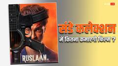 बॉक्स ऑफिस पर आहें भर रही 'रुस्लान'! संडे कलेक्शन में हुआ ऐसा हाल
