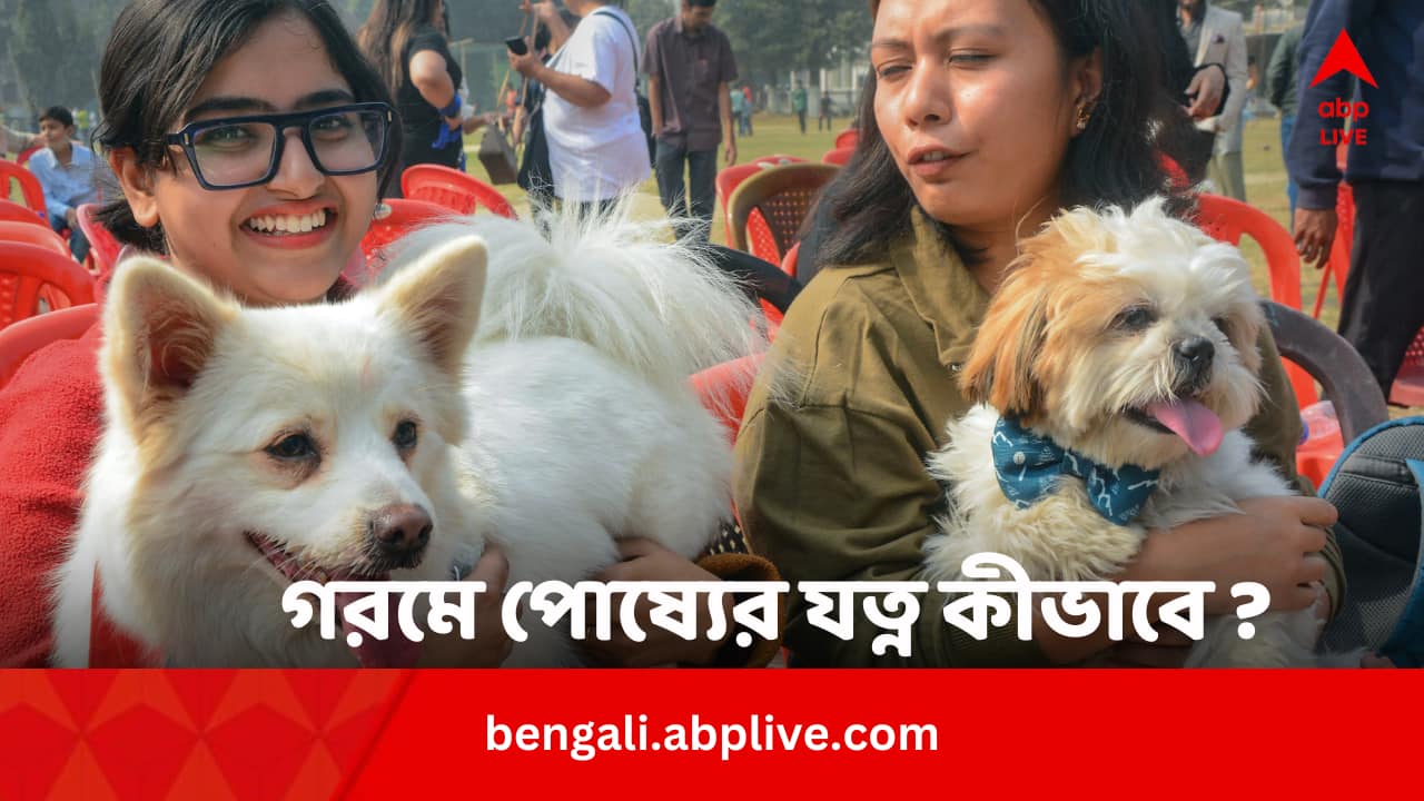 Pet Care In Summer: গরমে ঘন ঘন অসুস্থ হতে পারে পোষ্য, কী কী রোগের ভয় ? যত্ন নেবেন কীভাবে ?