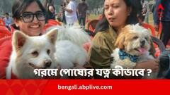 গরমে ঘন ঘন অসুস্থ হতে পারে পোষ্য, কী কী রোগের ভয় ? যত্ন নেবেন কীভাবে ?