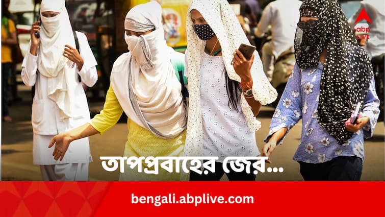 Summer Heatwave 2024 How Heat Wave Affect Our Body Organs Know Details Bengali News Summer Health Tips: শরীরের কোন অঙ্গে প্রথমেই প্রভাব ফেলে তাপপ্রবাহ, কী হয় তাতে ?