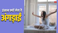 सोकर उठने के बाद इंसान क्यों लेता है अंगड़ाई, जानिए इसके पीछे का साइंस