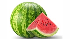 ​अमेरिका में तरबूज खरीदने के लिए कितने डॉलर खर्च करने पड़ते हैं?