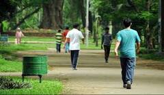 ਹਰਟ ਡਿਜੀਜ ਅਤੇ ਡਾਇਬਟੀਜ ਦਾ ਰਿਸਕ ਹੋ ਸਕਦਾ ਹੈ ਜ਼ੀਰੋ, ਜੇਕਰ ਰੋਜ਼ਾਨਾ ਕਰ ਲਿਆ ਇਹ ਕੰਮ