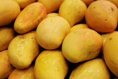 Mango Seed Benefits :जाणून घ्या आंबाच नाही तर त्याच्या कोयीतही दडलेले आहेत असंख्य फायदे!