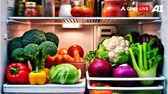 ફ્રિજના આ ભાગમાં શાકભાજી રાખશો તો તરત જ બગડી જશે, જાણો કેમ?