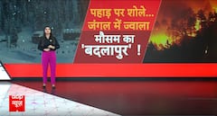 Nainital Fire Explained: उत्तराखंड के जंगलों में क्यों और कैसे लगी आग? देखिए ये रिपोर्ट