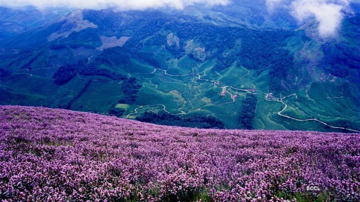 हिमाचल और उत्तराखंड के अलावा जम्मू और कश्मीर को भी गर्मियों में घूमने के स्थानों में शामिल किया जा सकता है.यहां कई ऐसे स्थान हैं जो आपके पल को यादगार बना देंगे.