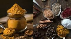 Sambar Masala: ருசியான சாம்பார் வைக்க வேண்டுமா?சாம்பார் பொடி.வீட்டிலேயே எளிதாக செய்வது எப்படி?