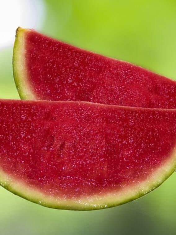 तरबूज मीठा है ये कैसे चेक करें