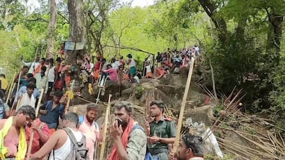 One more devotee lost his life in Velliangiri hills in Coimbatore வெள்ளியங்கிரி மலையில் தொடரும் உயிரிழப்புகள்: மேலும் ஒரு பக்தர் உயிரிழந்த பரிதாபம்