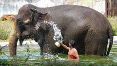 Weather Updates: યુપીથી લઈ બંગાળ સુધી હીટવેવ મચાવશે હાહાકાર, આ રાજ્યોમાં પડશે ભીષણ ગરમી, વાંચો IMDનું અપડેટ