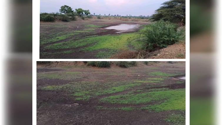 Thoothukudi news Forty thousand urani which have not been dug properly for seventeen years  Farmers demand to dig to save rain water - TNN 17 ஆண்டாக முறையாக தூர்வாரப்படாத 40 ஆயிரம் ஊரணிகள்- வீணாக கடலில் கலக்கும் மழை நீர்