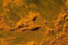 Health Tips :இஞ்சியும் மஞ்சளும் ஒன்றாக சேர்த்து சாப்பிடலாமா? இதைப் படிங்க!