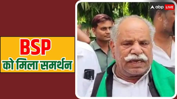 Bharatiya Kisan Union supported BSP candidate Pooja Amrohi Agra Lok Sabha seat ann Lok Sabha Election 2024: किसान यूनियन का चौंकाने वाला फैसला, BSP उम्मीदवार को समर्थन का ऐलान, जानें क्या कहा