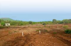 Land Registration: જમીનની નોંધણી બાદ કેટલા દિવસોની અંદર ફાઇલિંગ-રિજેક્શન પ્રક્રિયા કરવી જરૂરી છે, જાણો એક્સપર્ટેના મતે