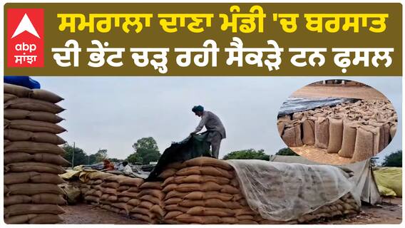 ਸਮਰਾਲਾ ਦਾਣਾ ਮੰਡੀ 'ਚ ਬਰਸਾਤ ਦੀ ਭੇਂਟ ਚੜ੍ਹ ਰਹੀ ਸੈਂਕੜੇ ਟਨ ਫ਼ਸਲ