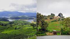 மேற்குத் தொடர்ச்சி மலையின் ஊட்டி..மாஞ்சோலையில் அப்படி என்னதான் இருக்கு?