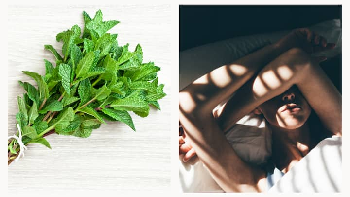 Discover the myriad health benefits of mint tea. From soothing indigestion to boosting focus, explore how this refreshing herbal infusion can enhance your well-being and daily life