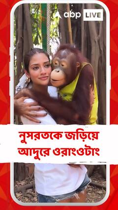 নুসরতকে জড়িয়ে আদুরে ওরাংওটাং, সোশ্যাল মিডিয়ায় ভালবাসার বার্তা