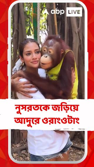 নুসরতকে জড়িয়ে আদুরে ওরাংওটাং, সোশ্যাল মিডিয়ায় ভালবাসার বার্তা