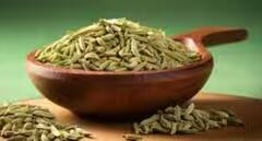 Fennel Seeds: ਗਰਮੀਆਂ 'ਚ ਖਾਓ ਸੌਂਫ, ਸਿਹਤ ਨੂੰ ਹੋਵੇਗਾ ਜ਼ਬਰਦਸਤ ਫਾਇਦਾ, ਕਈ ਬਿਮਾਰੀਆਂ ਤੋਂ ਮਿਲੇਗਾ ਛੁਟਕਾਰਾ